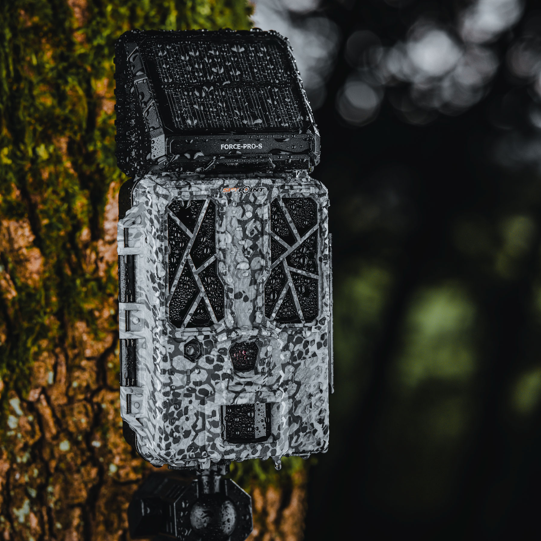 680608_E12_1800px